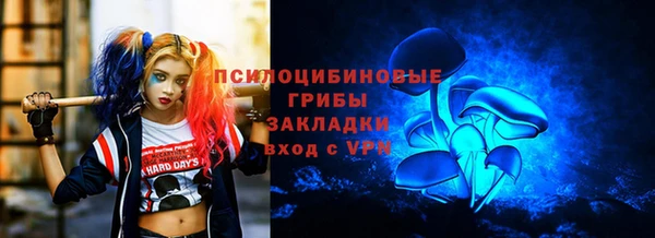 прущие крисы Арсеньев