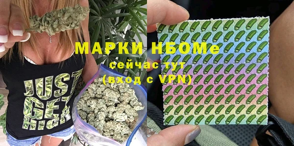 прущие крисы Арсеньев