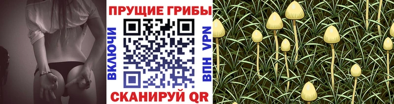купить наркоту  omg ONION  Псилоцибиновые грибы Psilocybine cubensis  Уссурийск 