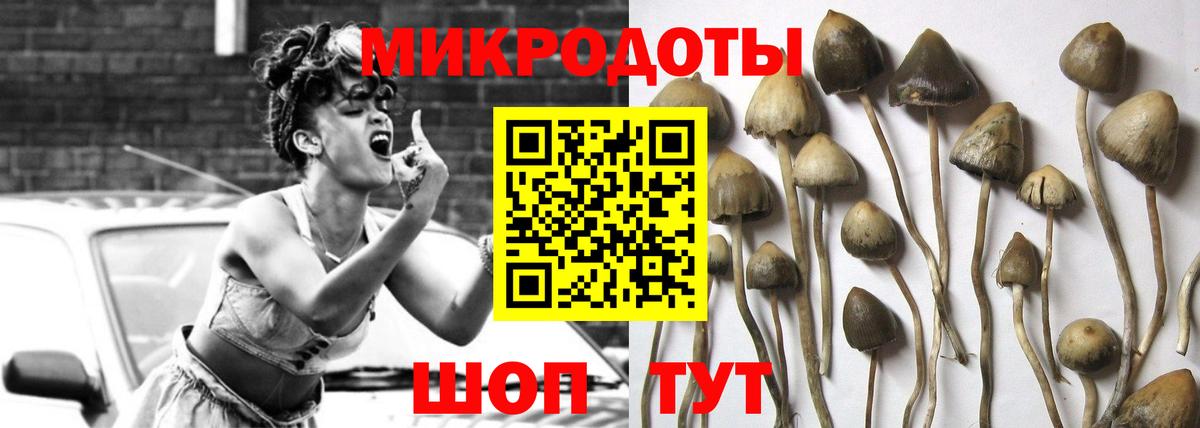 Псилоцибиновые грибы мицелий  Псилоцибиновые грибы мухоморы  Вход с VPN  Уссурийск 
